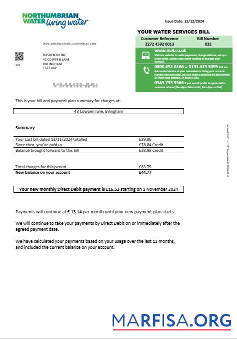 Realistic United Kingdom Northumbrian Water business utility bill template in Word and PDF formats, version 1